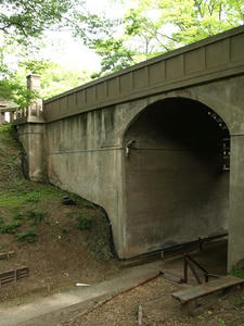 P8250074shuusei.JPG