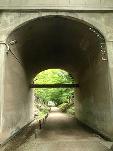 P8250078shuusei.JPG