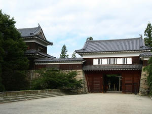P8250095shuusei.JPG
