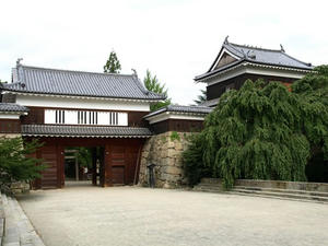 P8250098shuusei.JPG