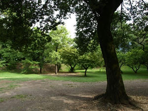 P8250123shuusei.JPG
