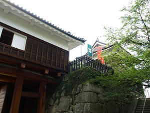 P8250129shuusei.JPG