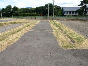 P8250158shuusei.JPG