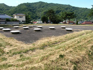 P8250159shuusei.JPG
