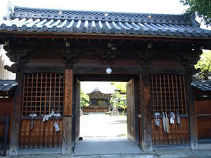 P8250262shuusei.JPG