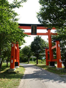 P8250325shuusei.JPG