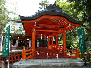 P8250344shuusei.JPG