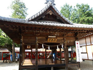 P8250354shuusei.JPG