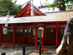 P8250362shuusei.JPG