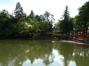P8250368shuusei.JPG