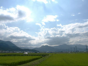 P8250373shuusei.JPG