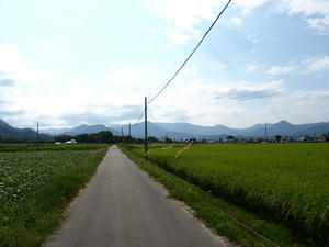 P8250380shuusei.JPG