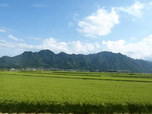 P8250430shuusei.JPG