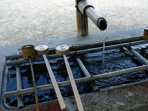 P8250452shuusei.JPG