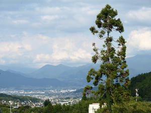 P8250466shuusei.JPG
