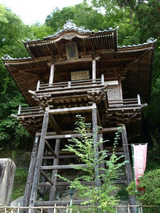P8250473shuusei.JPG