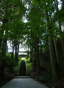 P8250482shuusei.JPG