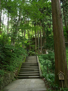 P8250501shuusei.JPG