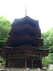 P8250505shuusei.JPG