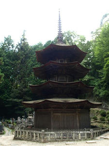 P8250510shuusei.JPG