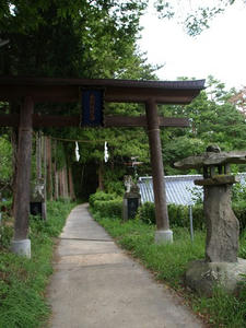 P8250546shuusei.JPG
