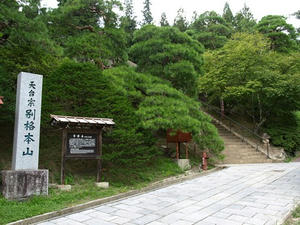 P8250555shuusei.JPG