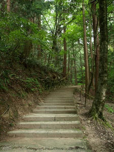 P8250574shuusei.JPG