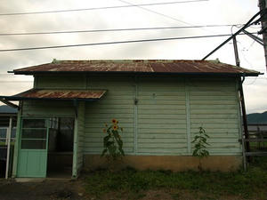 P8250669shuusei.JPG