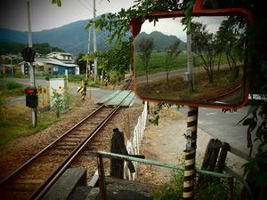P8250643shuusei.JPG