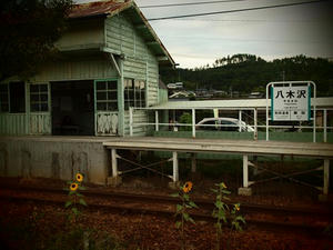 P8250646shuusei.JPG