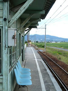 P8250652shuusei.JPG