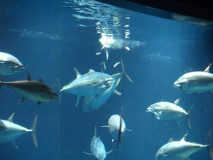 P8302279shuusei.JPG