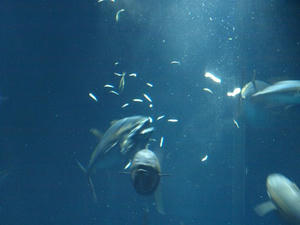 P8302297shuusei.JPG