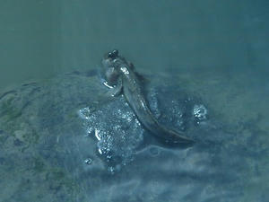 P8302790shuusei.JPG