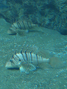 P8302508shuusei.JPG