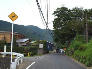 P9234568shuusei.JPG