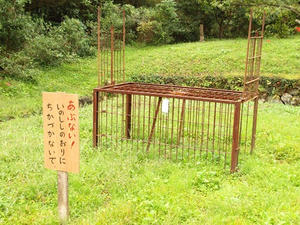 P9234481shuusei.JPG