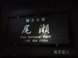 PA074795shuusei.JPG