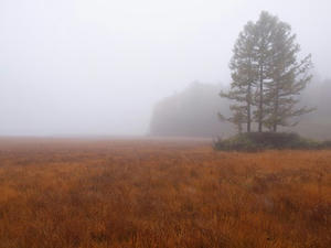 PA074890shuusei.JPG