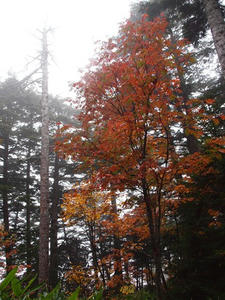 PA074904shuusei.JPG