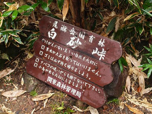 PA074973shuusei.JPG