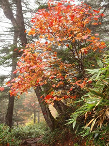 PA074976shuusei.JPG