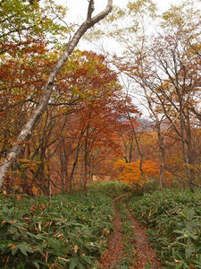 PA075096shuusei.JPG