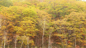 PA075136shuusei.JPG
