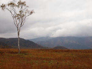 PA075162shuusei.JPG