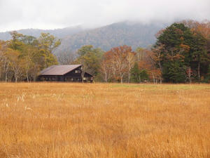 PA075163shuusei.JPG