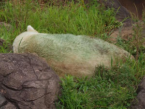 P9094264shuusei.JPG