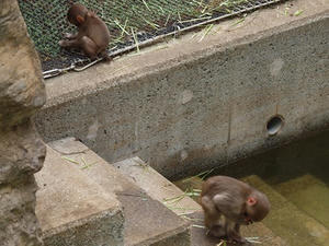 P9094366shuusei.JPG