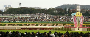 PB010062shuusei.JPG