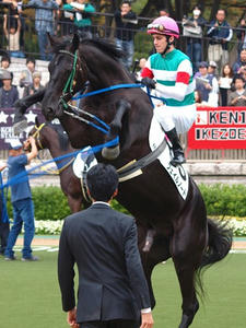 PB018917shuusei.JPG